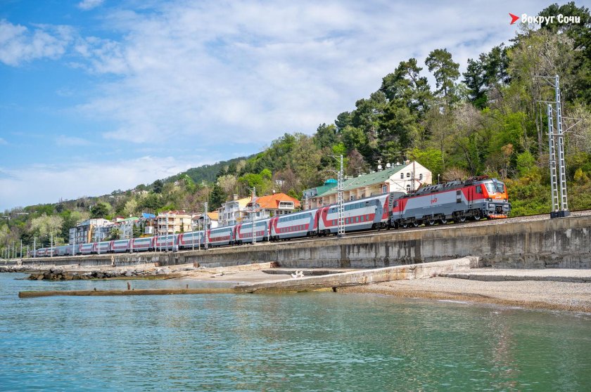 Хоста Мацеста Сочи