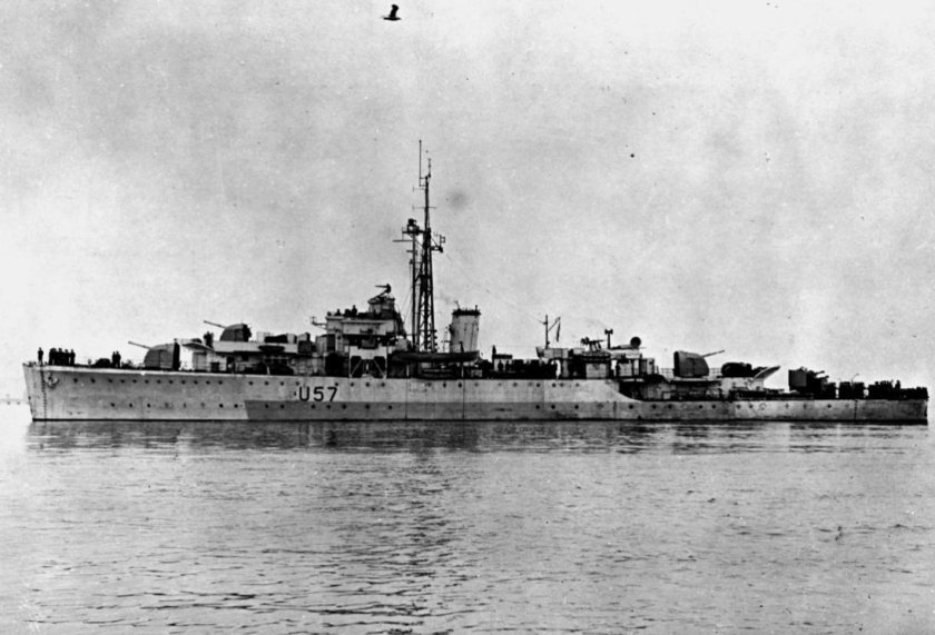 Шлюп Блэк Суон