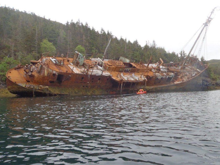 Судно Леонид Демин Гогланд