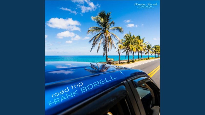 Вид из машины на пальмы