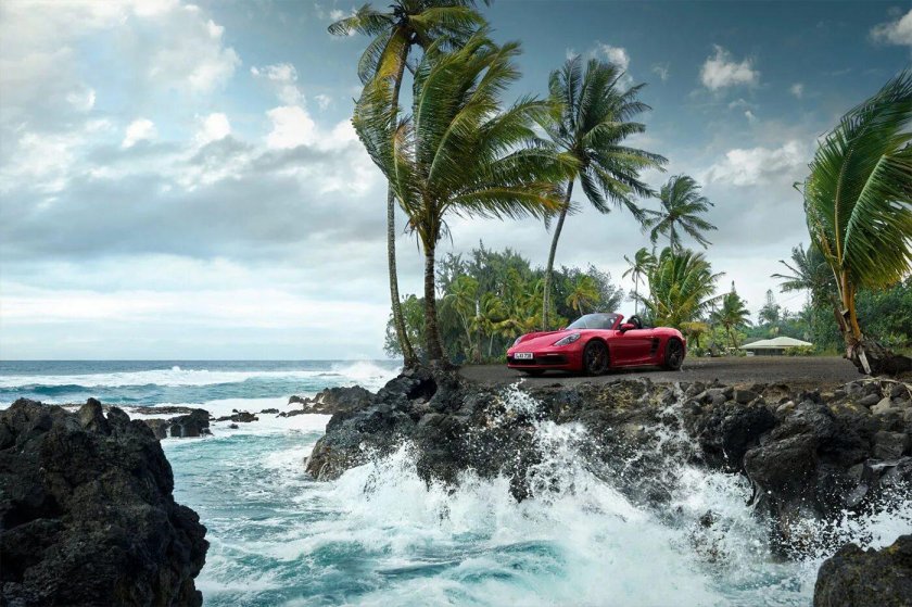 Машина и пальмы