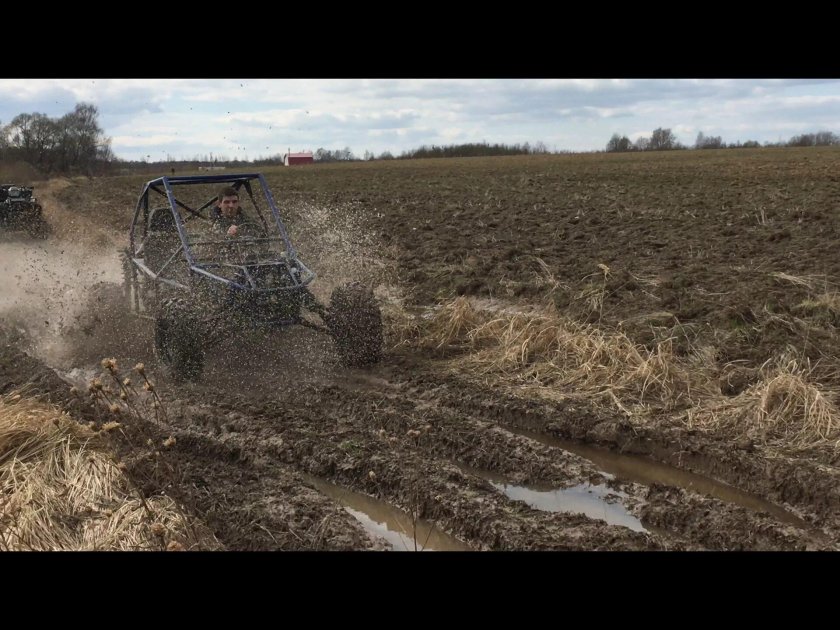 Багги в поле