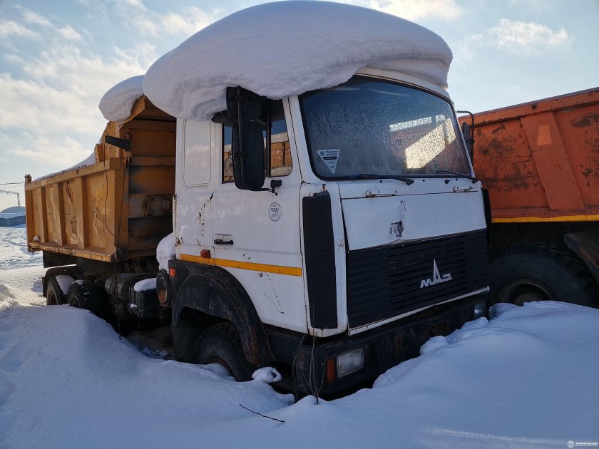 МАЗ 651705-282
