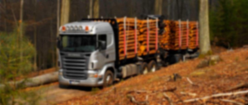 Scania лесовоз