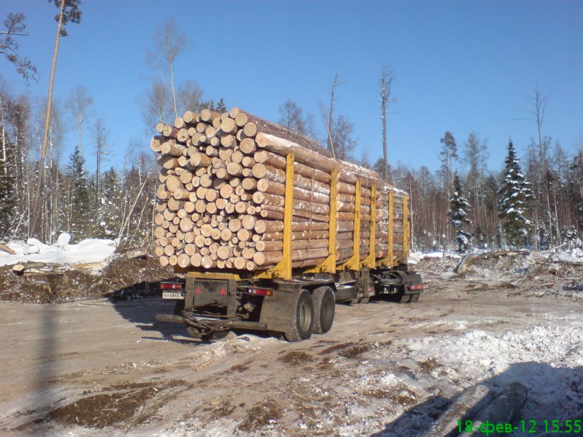 КАМАЗ лесовоз груженый лесом