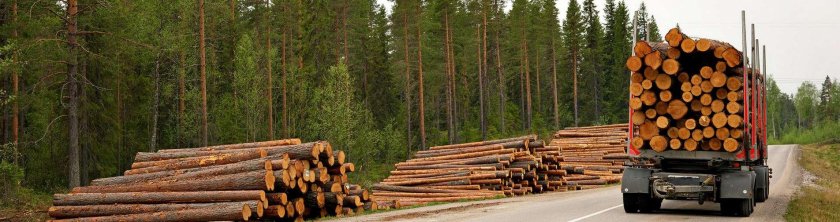 Перевозка древесины