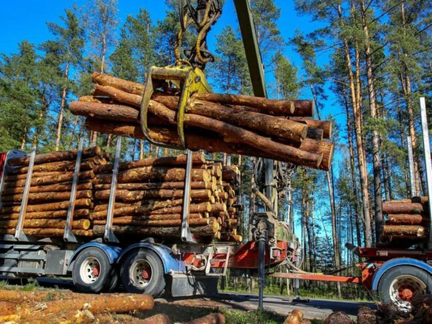 Грузовик с бревнами