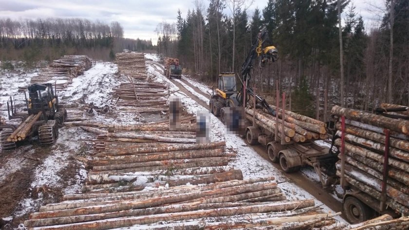Верхотурье Лесозавод