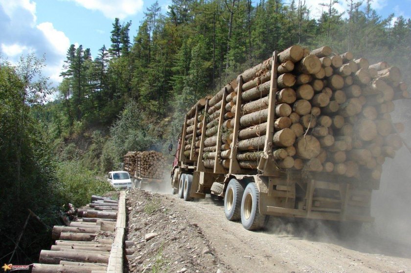 КАМАЗ 53212 лесовоз