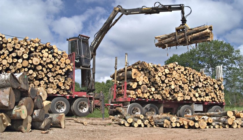 ЗИЛ 131 груженый дровами