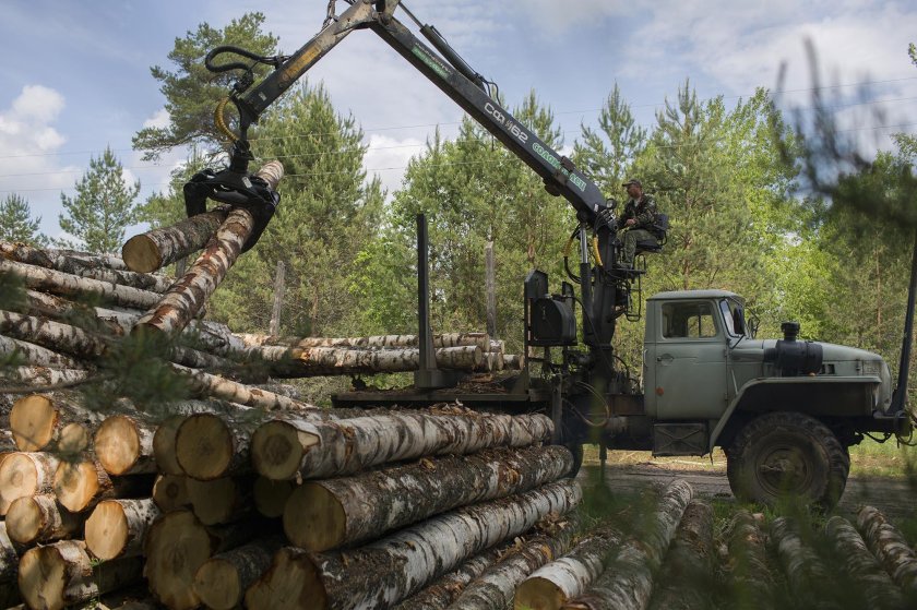 Урал лесовоз погрузка леса