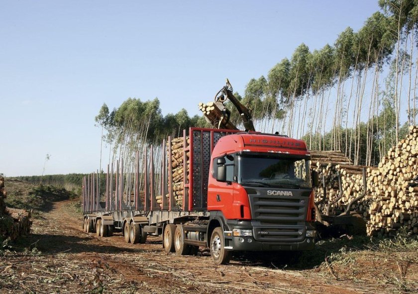 Скания лесовоз автопоезд