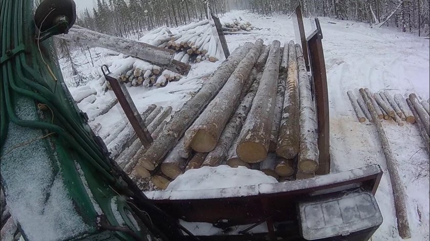 ЛТ 65 погрузка лесовоза