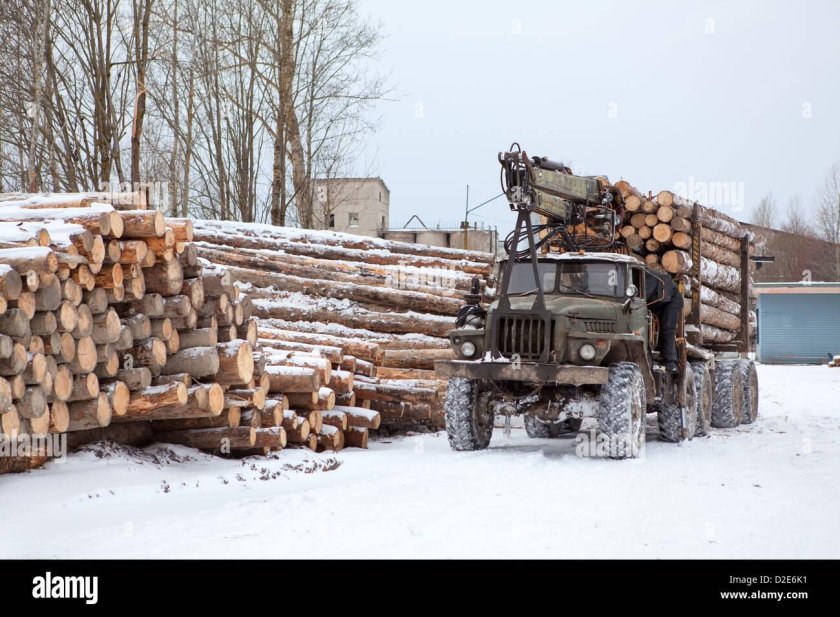 Лесовоз 85-99 МС