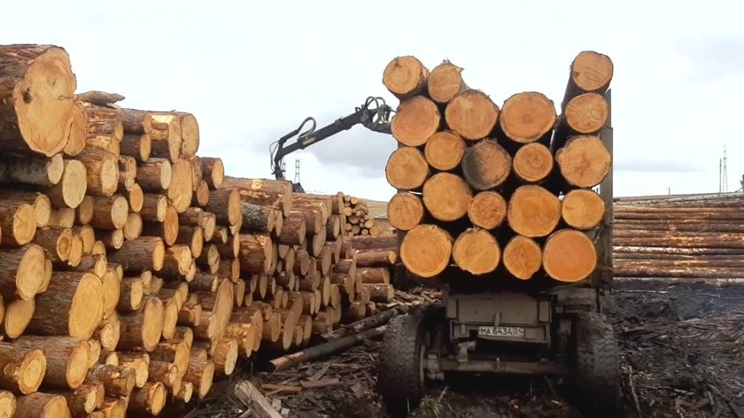 Погрузка леса