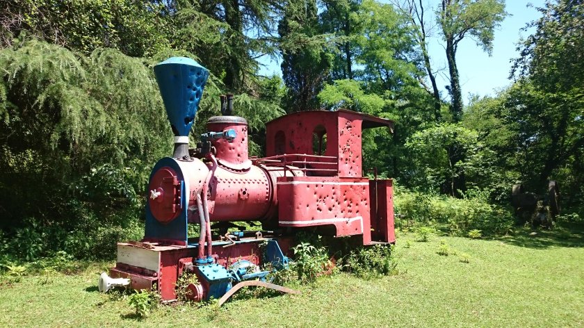 Узкоколейный паровоз Юнг