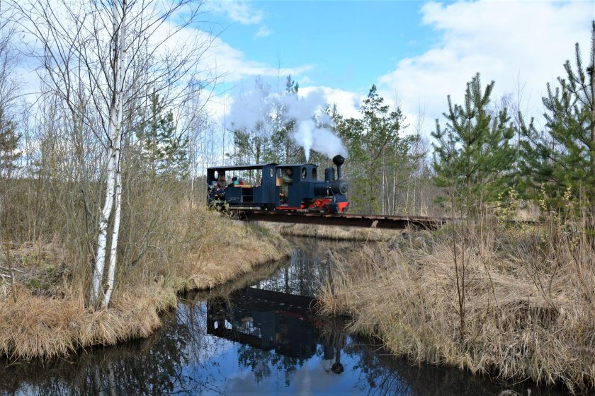 Паровоз УЖД