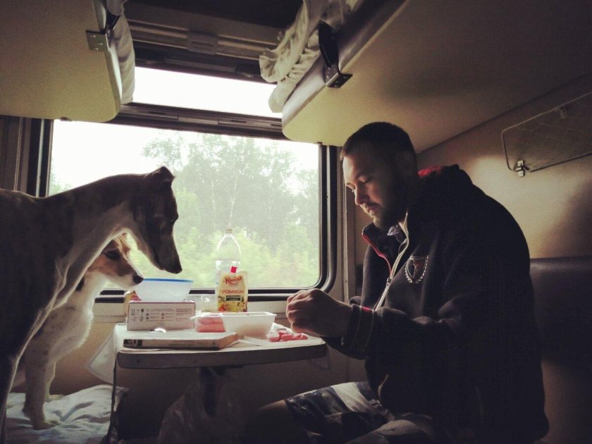 Утро в поезде