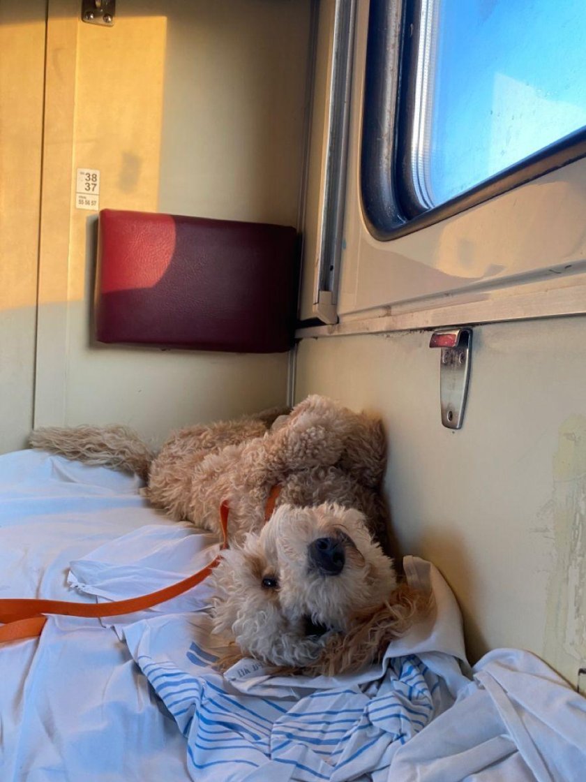 126 Поезд какой