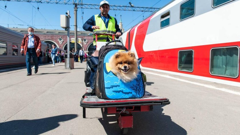 Путешествие на поезде