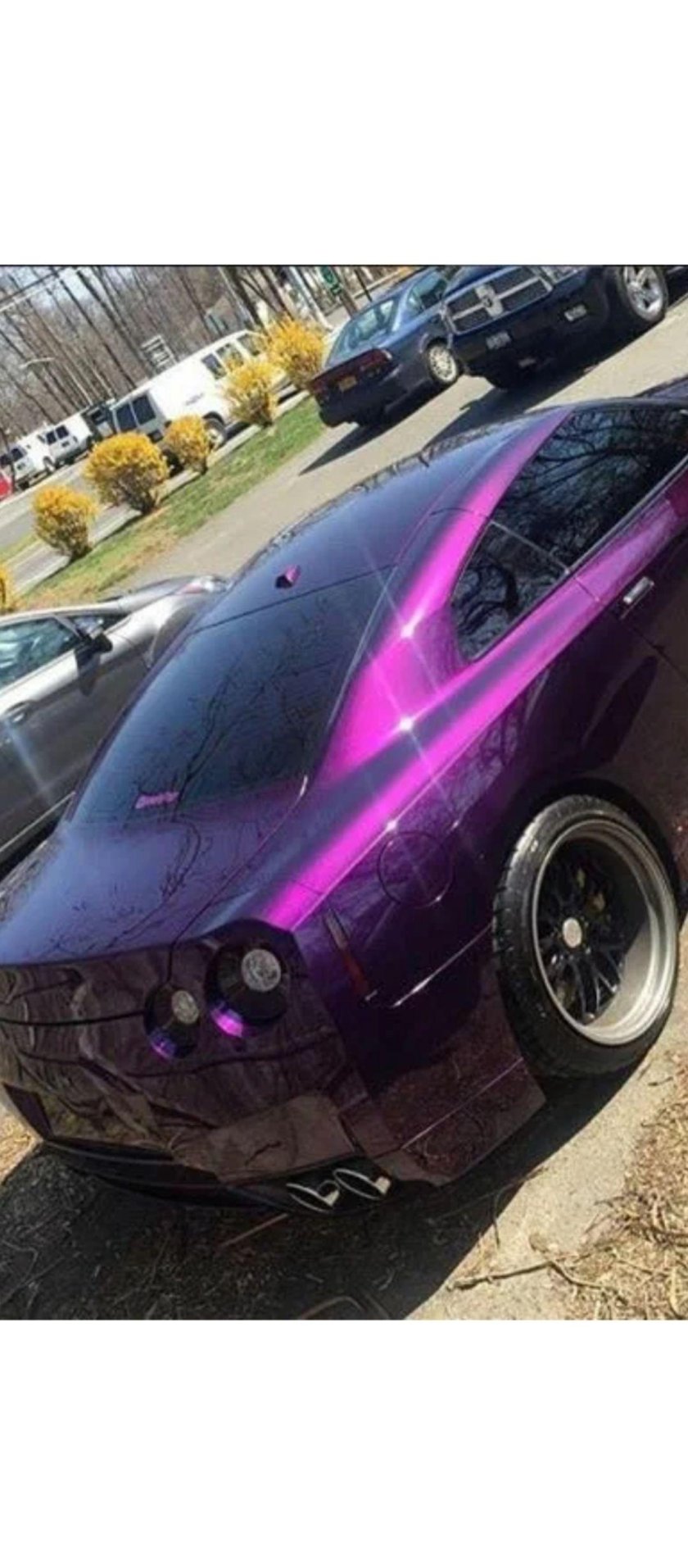 Кэнди Пурпл