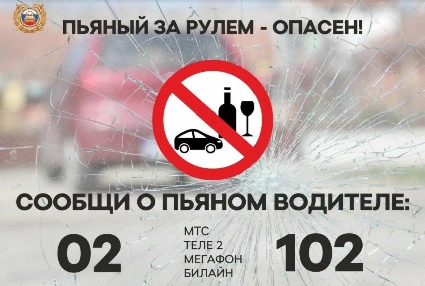 Сообщи о пьяном водителе