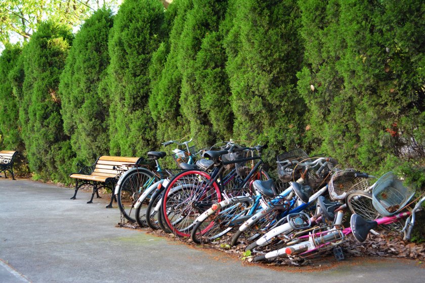 Велосипеды в ряд