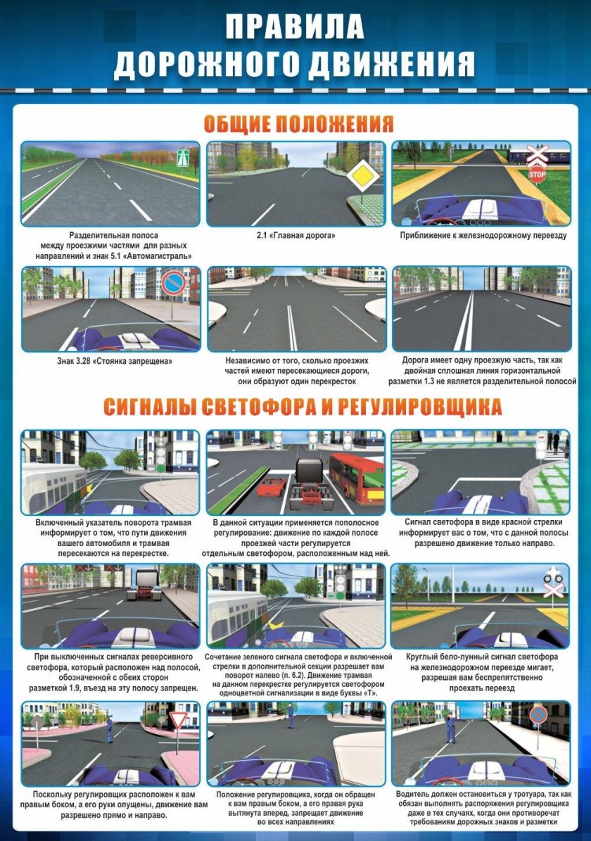 Общие положения ПДД