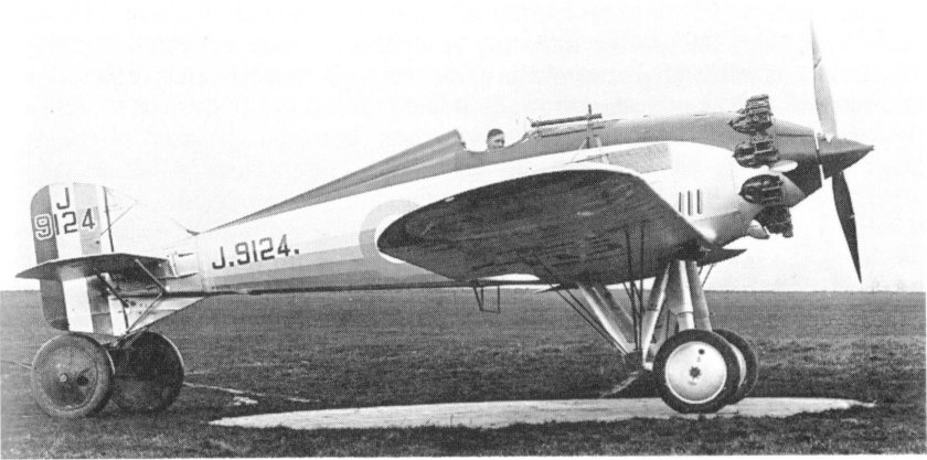 Расчалочный моноплан