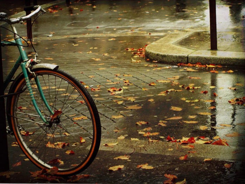 Велосипед дождь
