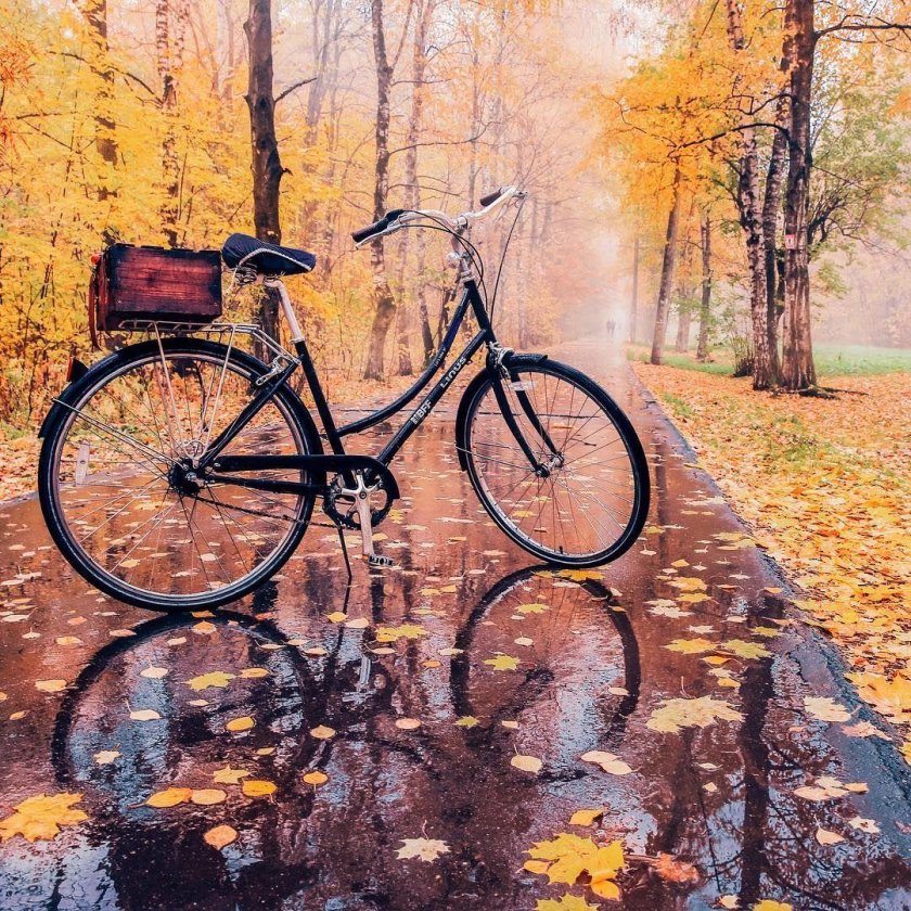 Осенний велосипед