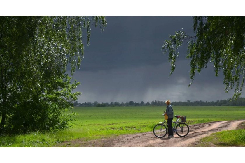 Летний дождь