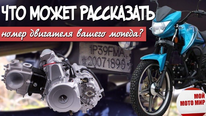 Номер двигателя на мопеде Альфа