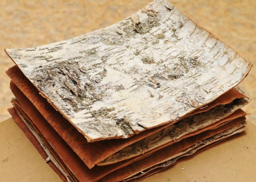 Кора дерева из бумаги