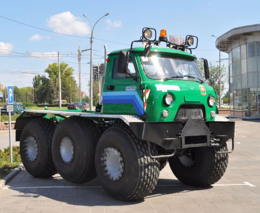 Мкм 1905 Мурашка