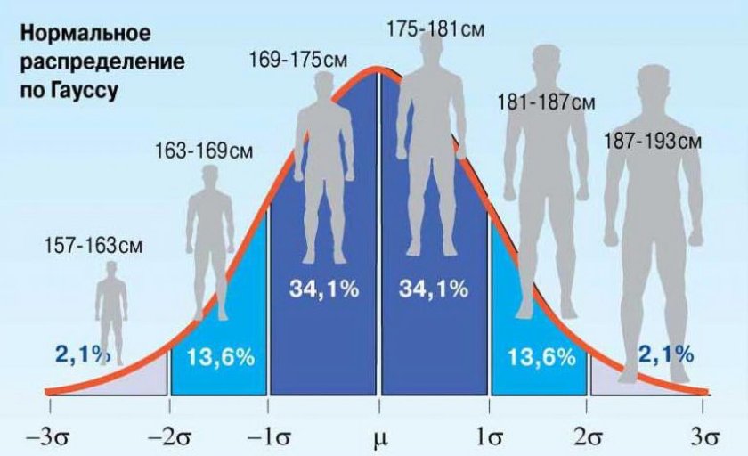 Средний рост человека