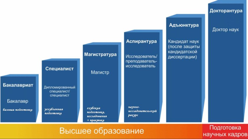 Ступени высшего образования