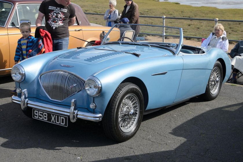 Austin Healey 1955