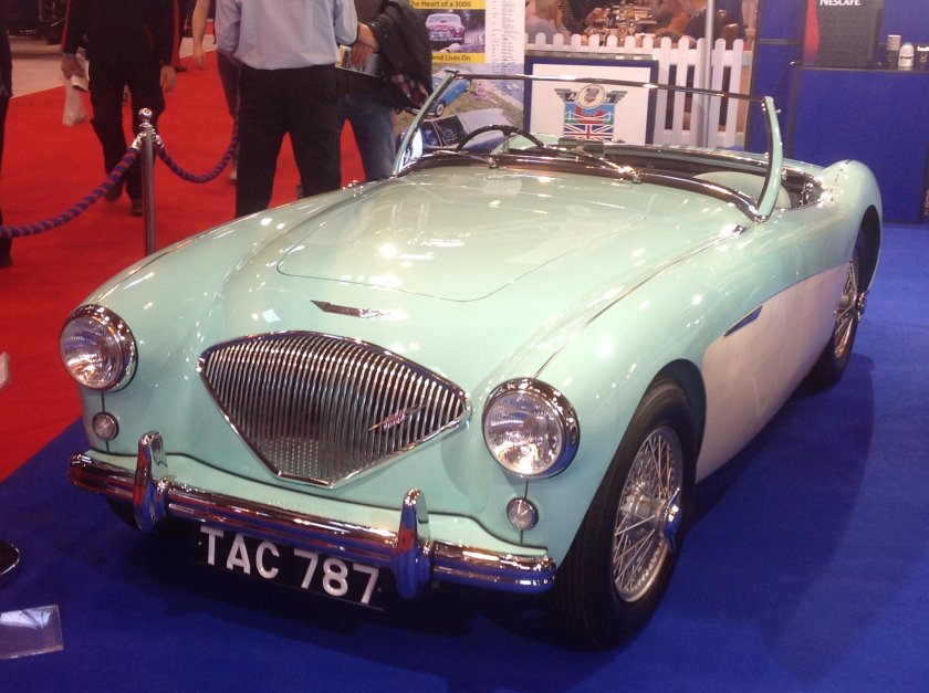 Austin Healey 1955