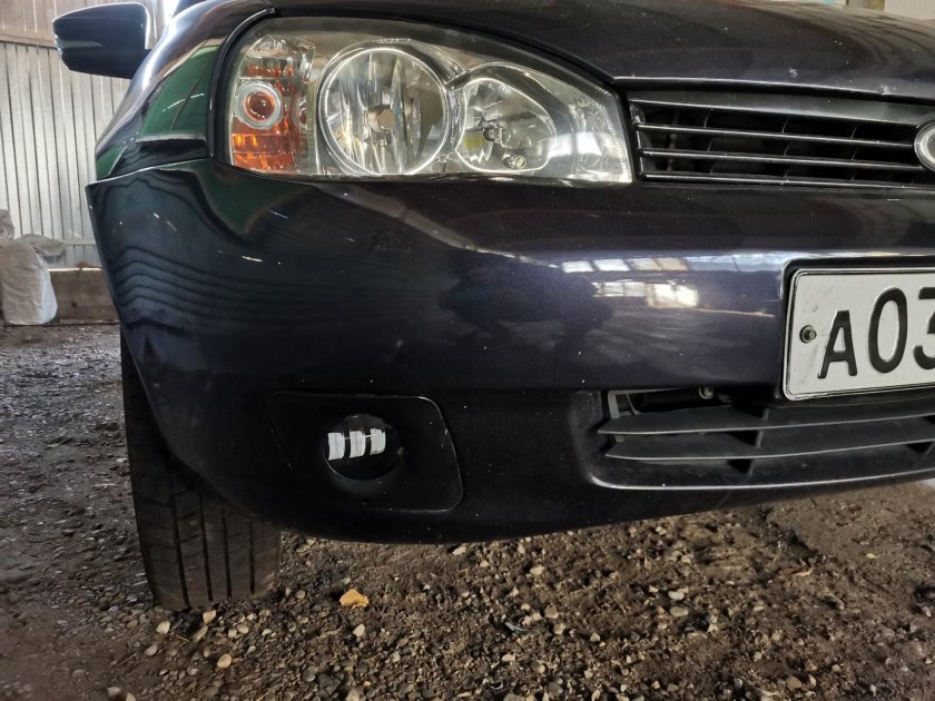 Туманки Салман Калина 1