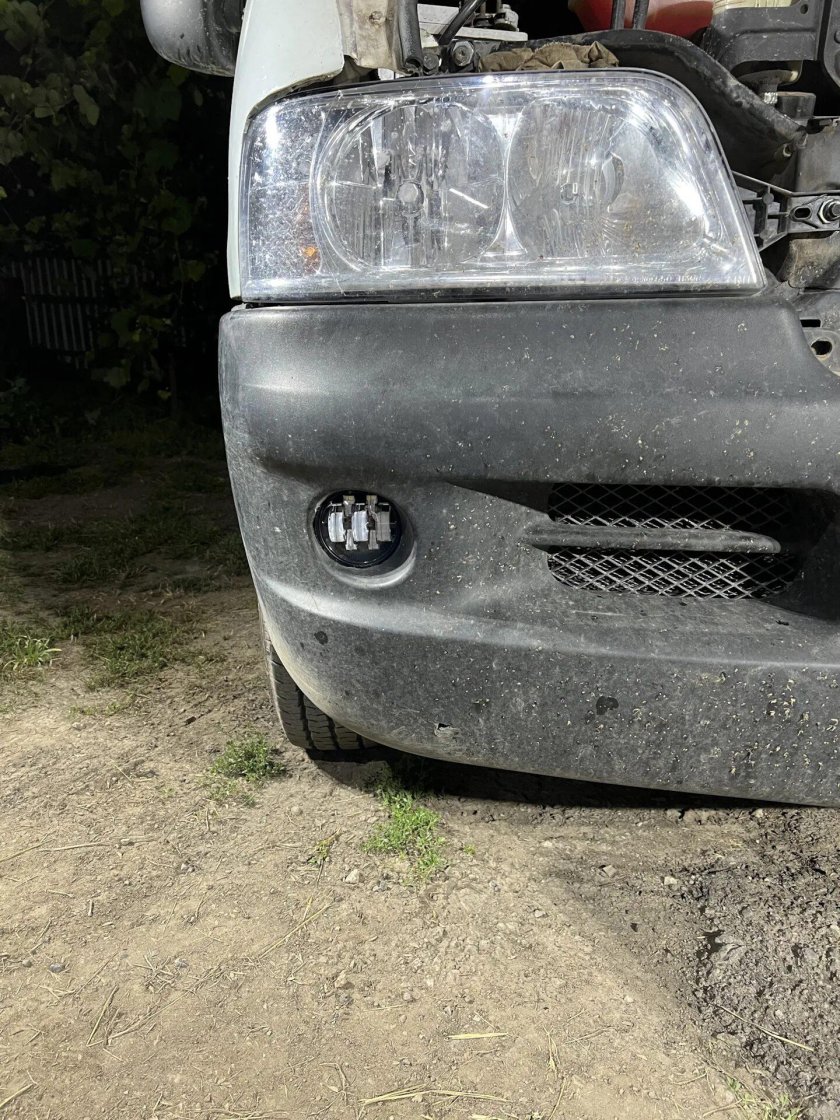 Туманки Салман Калина 1