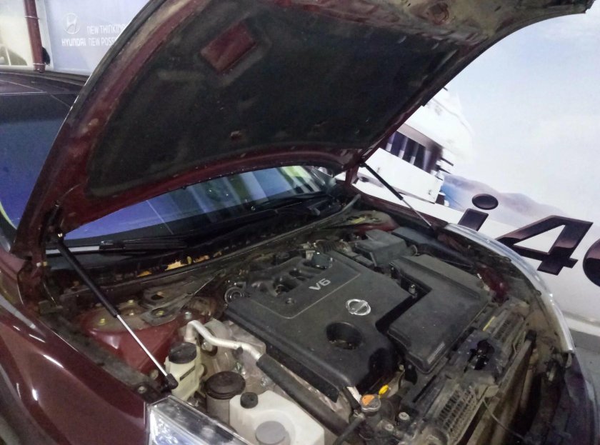 Teana j32 капот