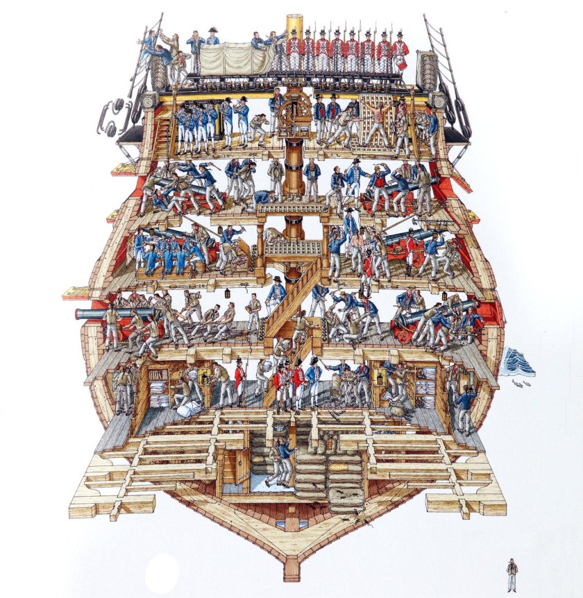 HMS Victory в разрезе