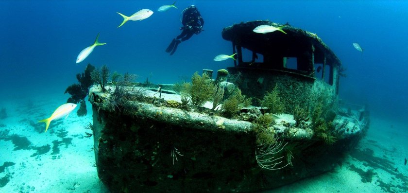 Багамские острова дайвинг