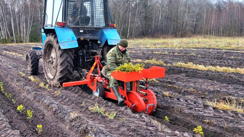 Лесопосадочная машина ЛМД-81