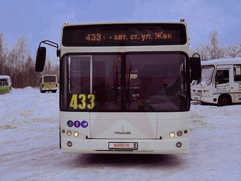 550 Автобус
