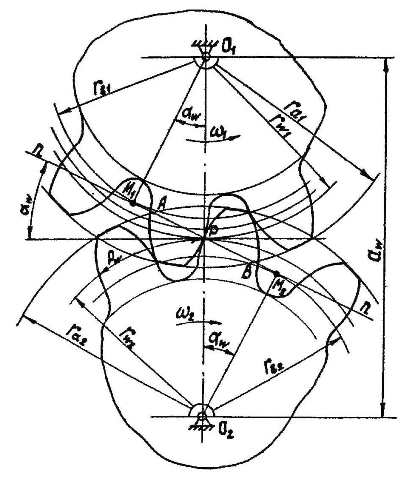 Линия зацепления зубчатых колес
