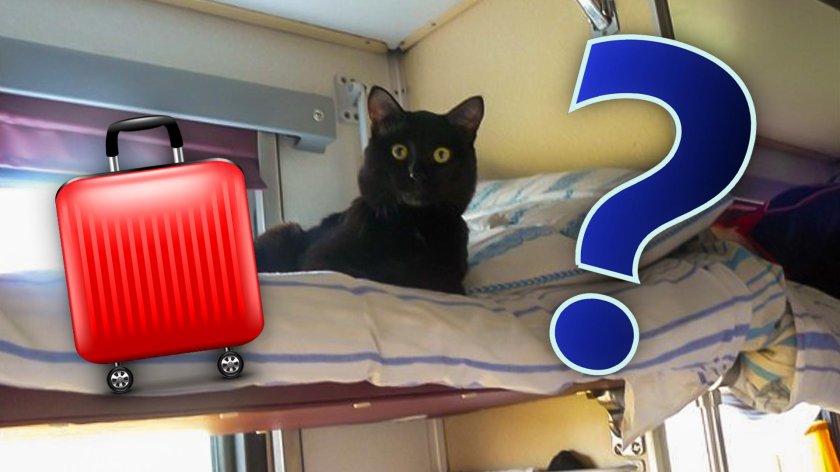 В поезде на верхней полке