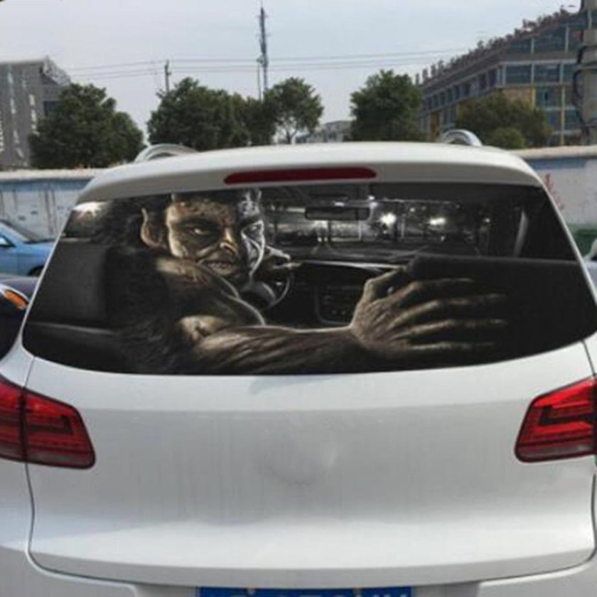 Наклейки на заднее стекло автомобиля