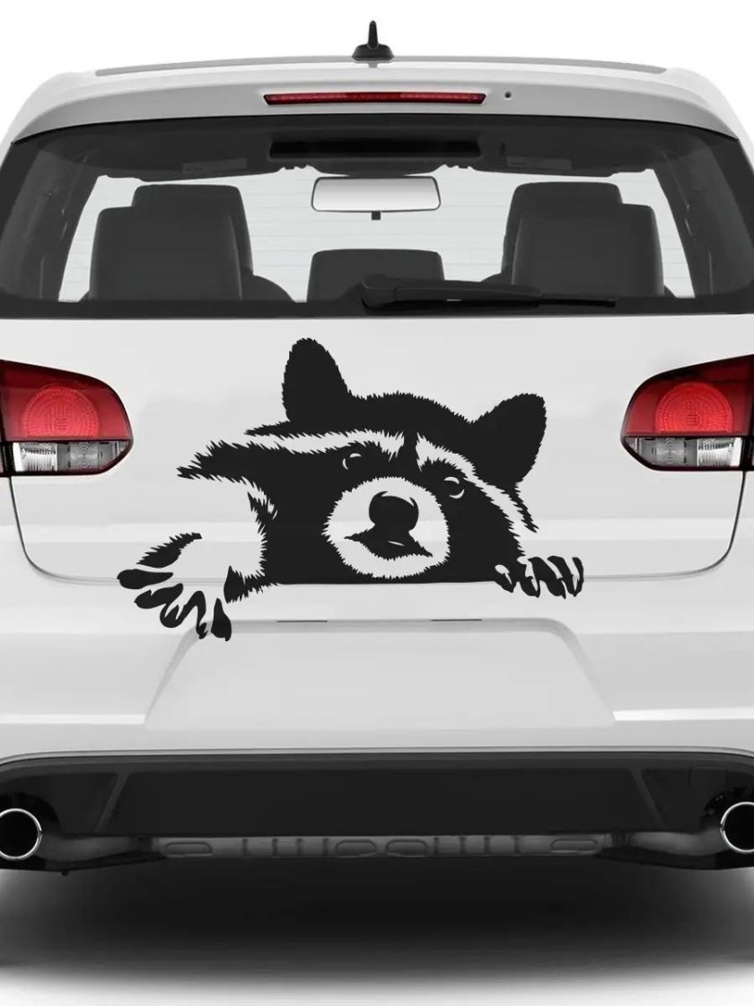 Енот наклейка на машину